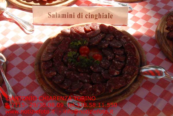 S2115_244_salamino_cinghiale